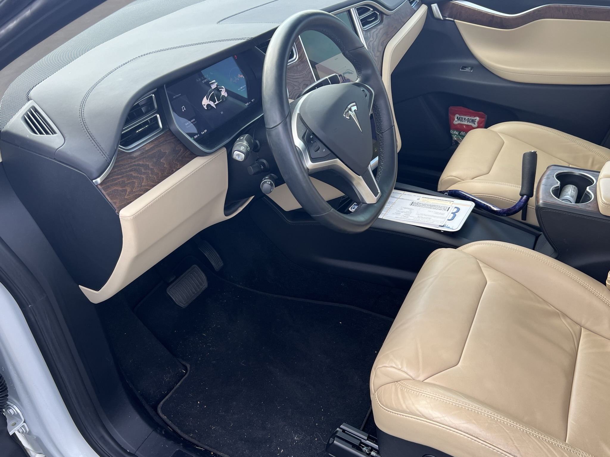 2017 Tesla Model X 100D